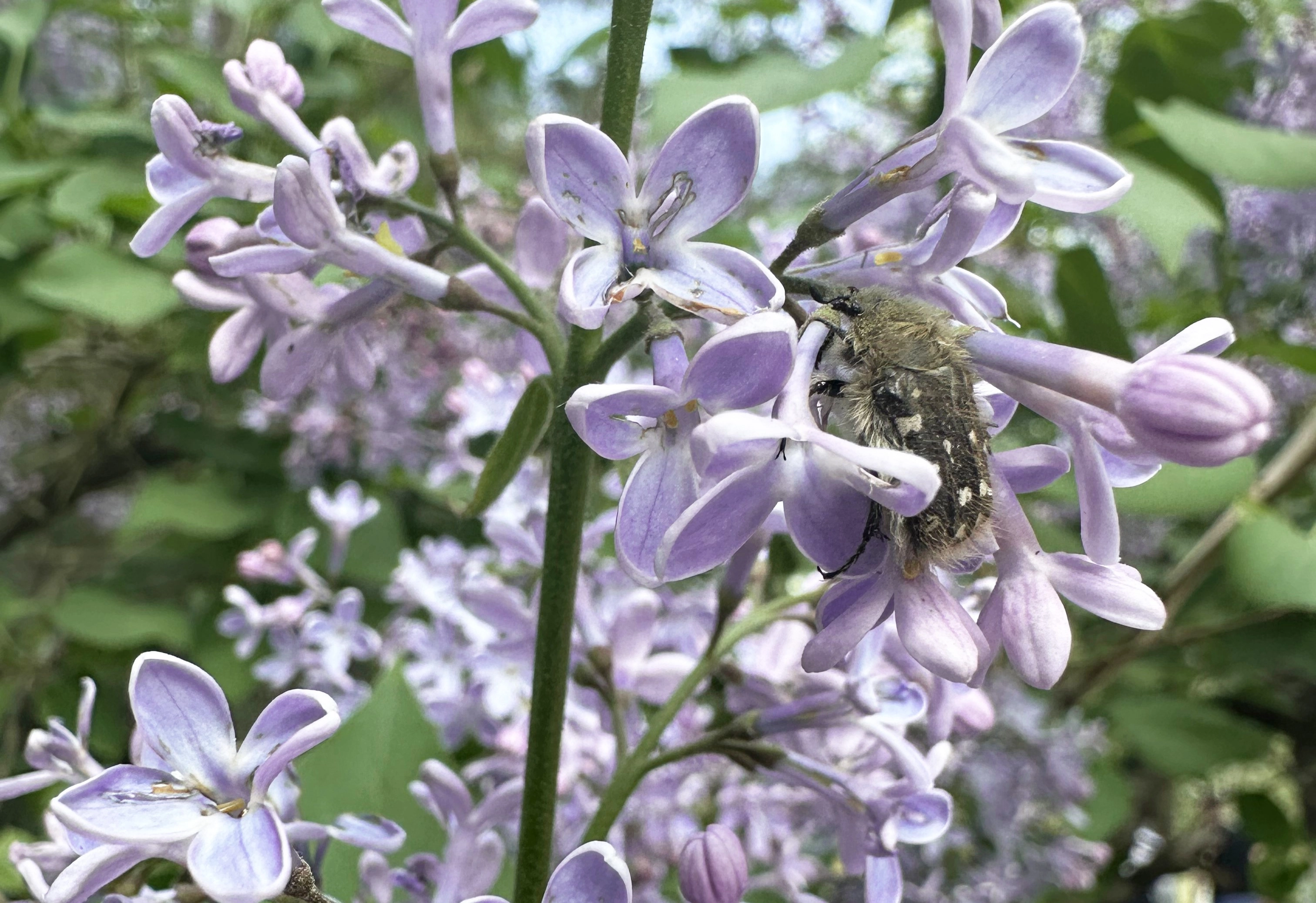 Поздравляем с Днём Победы!